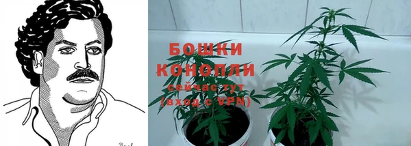 прущий лед Козловка