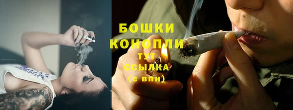 прущий лед Козловка