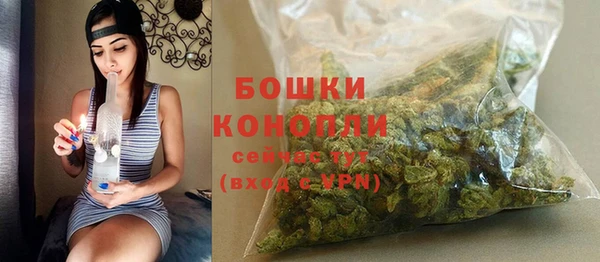 прущий лед Козловка