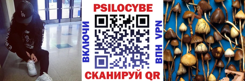 Псилоцибиновые грибы GOLDEN TEACHER Лениногорск